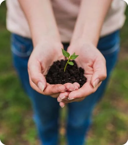 Environmental Studies & Earth Sciences